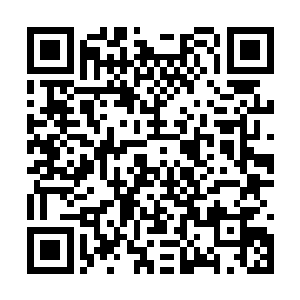 大概他们想通过跟踪我们好得知那位骨器师的下落二维码生成