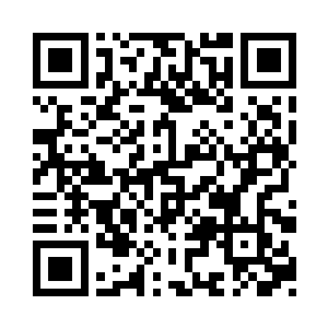 大概只能看瓷器最终拍卖落锤的价格了二维码生成