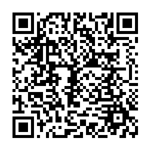 大概因为有些放松流墨墨懒洋洋的有点倦曲的微侧着身子慢慢平缓的呼吸二维码生成