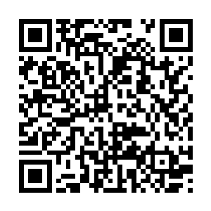 大概所有人都没想到一个弱质女流竟然会攀墙爬梁二维码生成