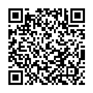 大概是从这一系列的阴谋陷害和杀戮中找到快感了吧二维码生成