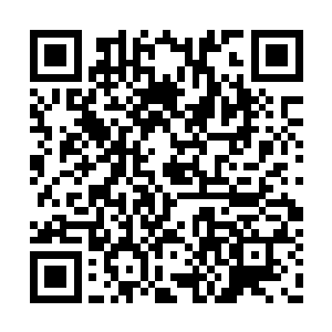 大概是回到了方舟基金会就好像回到了自己家里二维码生成