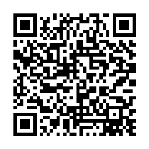 大概是年轻藩王不满于自己为何要跟宋岩立下那个赌约二维码生成