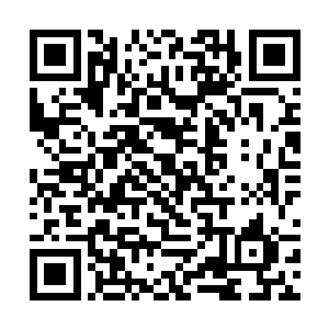 大概是徐凤年顾忌到孩子是否会被雨幕伤及体魄心神二维码生成