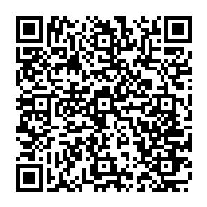 大概是真的觉得继续在飞龙部落活不下去了才不得已断然离开了生活很多年的部落二维码生成