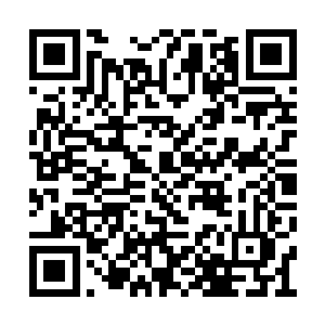 大概是老剑神觉得这家伙样子实在太像吴家坐剑二维码生成