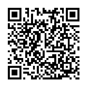 大概是觉得陆庭舟他们根本不会这么快找到这里二维码生成