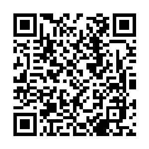 大概知晓了福州朝廷在临安发动革新的一系列讯息二维码生成