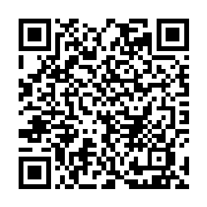 大概跟第七战将临死前最后投掷出的魔龙一样的威力了二维码生成
