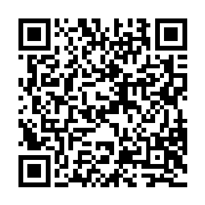 大概还不到半斤重的野生蓝莓和山楂果怯怯的堆在那里二维码生成