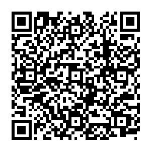 大概追了两个多小时龙傲天一行人来到了山谷深处的一个水塘边水塘中间有个小块的陆地二维码生成