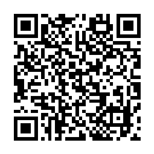 大殿之内坐在椅子上的各方势力的首领的脸上都溅到了鲜血二维码生成