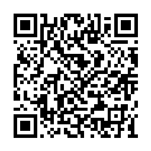 大汉打量了一眼远处密密麻麻逼近这边的圣甲虫二维码生成