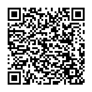 大灰狼每天都会从悬崖下不费力气地捡起义无反顾跳下来找死的鸡们吃二维码生成