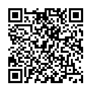 大的让这些家族的子弟忘记了眼前这个男人强大到让人窒息二维码生成