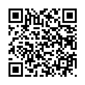 大禾正安静地躺在唐晓柔的怀抱里面二维码生成