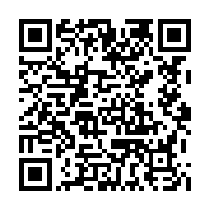 大秀你根本就没有那个野外生存的生活自理能力二维码生成