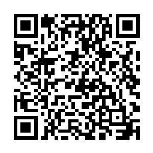 大红和王婉柔也忙帮忙将小白这小胖子给扶起来站着二维码生成