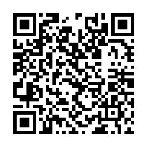 大约是某种介乎于人类和信息生命之间的过渡形态二维码生成
