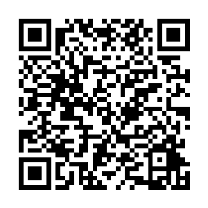 大约是鹏浦湾里头有什么东西让胆小的灵霄仙鹤给骇着了二维码生成