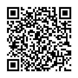 大老爷已经吩咐下人将瑾枫园旁边的临月阁收拾出来二维码生成