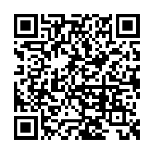 大胡子青年面上带着一丝不忿的向那书生传念道二维码生成