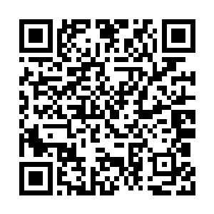 大规模的骑士战斗估计最近几年内都打不起来了二维码生成