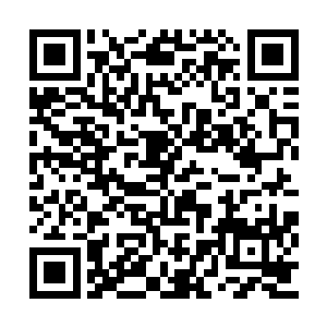 大道理好歹等着见过沙瓦之后再说出来也不迟啊二维码生成