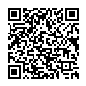 大部分的人类都是来自多元宇宙各个角落的强者二维码生成