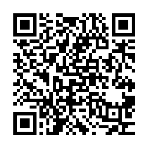 大部分都压的一赔八的tib如果鹰钩鼻先生再一次猜对了牌的话二维码生成