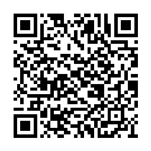 大部分都是供应鸿蒙一衰和二衰的武道之人使用二维码生成