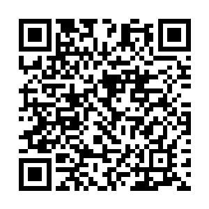 大量暗黑色的血液便开始从那怪物的触手中喷洒而出二维码生成
