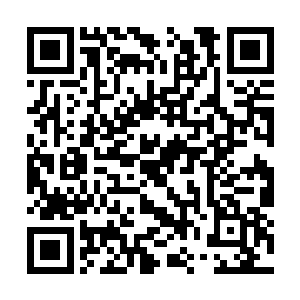 大量的仙灵长老何尝认不出此人是那个该死的代离二维码生成
