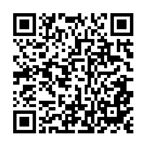 大长公主慈爱的看着被墨修尧抱在怀里的墨小宝笑问道二维码生成