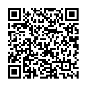 大长老只需要安心的管束好九方联盟内部的人员就可以二维码生成