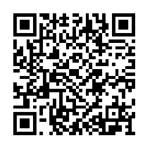 大长老早将其放到了一个完全与自己平等的位置二维码生成