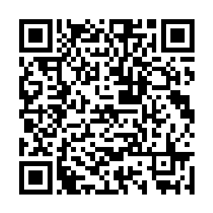 大长老的脸上顿时也是露出了一抹无比满意的神情二维码生成