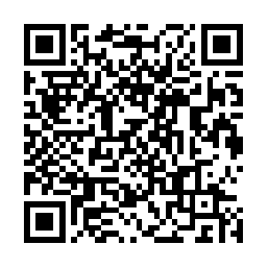 大门上还刻着一只象长着三只眼睛的小猴子模样的异兽浮雕二维码生成