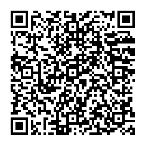 大阵之内欧阳家族修士和大阵之外的施家和钱家修士都紧张地注视着许紫烟和尹志韵之间的斗法二维码生成