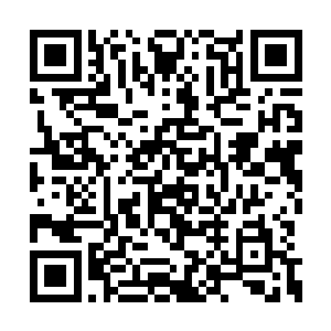 大阵之内的许家数十万修士也都做好了大阵崩溃二维码生成