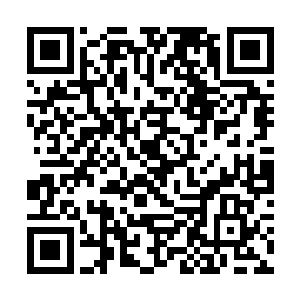 天一道尊那巨大的身体全都被耀眼的紫芒给包裹住了二维码生成