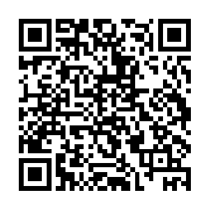 天下人都还记得名震天下的南疆最强军队名为梵蒂冈二维码生成