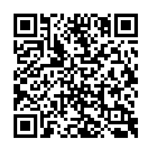 天元加速轨道是唯一一条能进入天元学校的轨道二维码生成