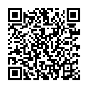 天元家族的议事大殿已经被一层结界和阵法笼罩二维码生成