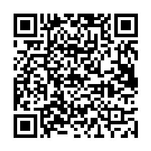 天凤大帝魏天王这段时间一直调集军队横扫天鸿界二维码生成