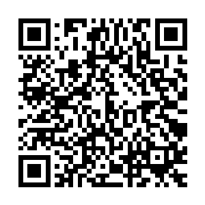 天地人三才中的几名大掌柜以及时宝丰的次子时维扬主持接待二维码生成