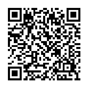 天地玄黄玲珑宝塔和冰魄神息就竭力挣脱了束缚二维码生成