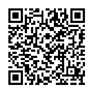 天地神水已经完全演变成了圣皇强者之间的争夺二维码生成