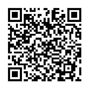 天宇商盟的拍卖会么……不知道拍卖会上会有什么好东西二维码生成