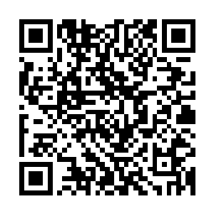 天安集团的卫东林和远古集团的甘宜涛与陈雨馨合作的非常愉快二维码生成